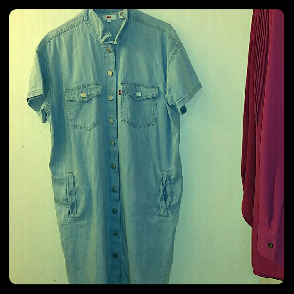 Vintage Levi dress.